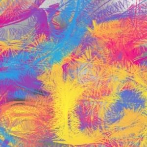 Meet your Posher, Isabella